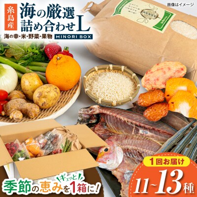 糸島産 魚 米 野菜 果物 厳選詰め合わせ MINORI BOX L [AOP027]