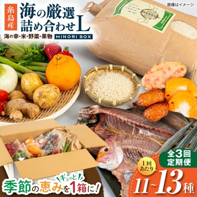 全3回定期便 糸島産 魚 米 野菜 果物 厳選詰め合わせ MINORI BOX L [AOP028]