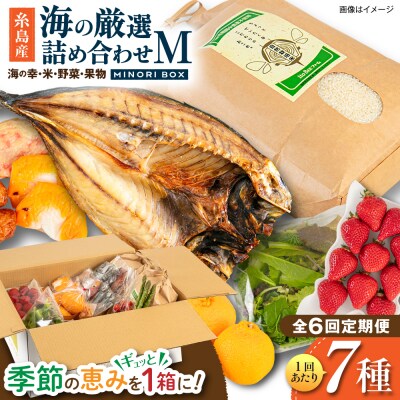 全6回定期便 糸島産 魚 米 野菜 果物 厳選詰め合わせ MINORI BOX M [AOP025]