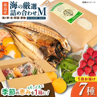 糸島産 魚 米 野菜 果物 厳選詰め合わせ MINORI BOX M [AOP023]