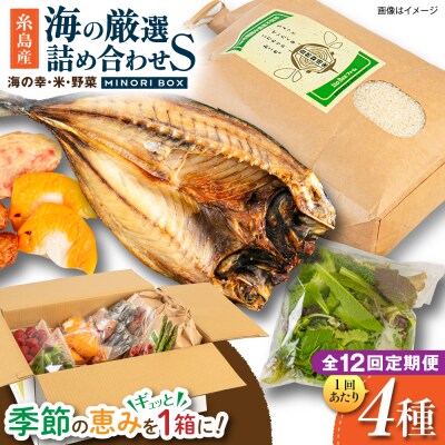 全12回定期便 糸島産 魚 米 野菜 果物 厳選詰め合わせ MINORI BOX S[AOP022]
