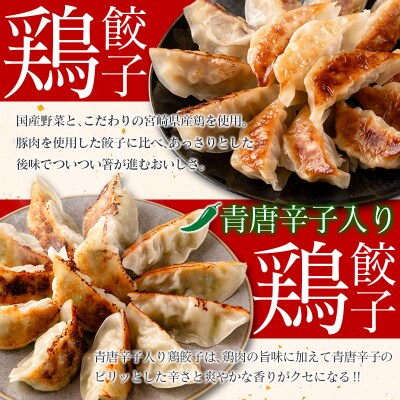 宮崎鶏ぎょうざ「まる金」のおもてなし5種セット 餃子のたれ付き