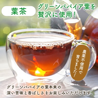 グリーンパパイアティー 葉茶 計4袋 セット (1.5g×7個/1袋) ティーバッグ 宮崎県産