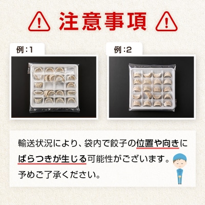 ＜定期便・全4回＞「一口餃子の大明神」一口餃子セット 100個 (50個入×2袋) タレ付き 