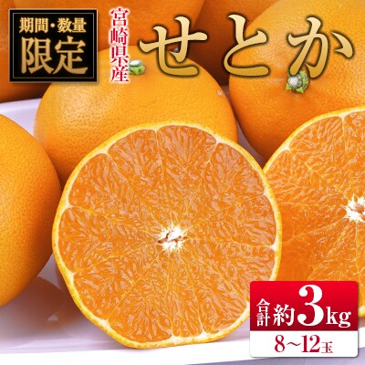 ◇宮崎県産 せとか 約3kg(8～12玉入)