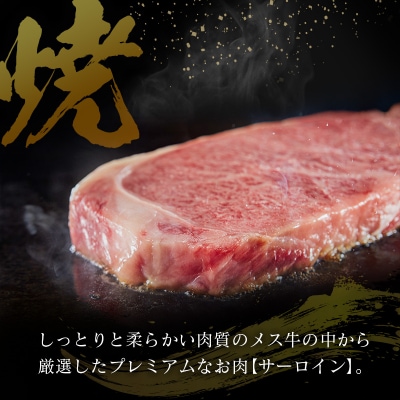 プレミアムシリーズ 宮崎県産 倉薗牧場 A5等級 宮崎牛 メス サーロインステーキ 