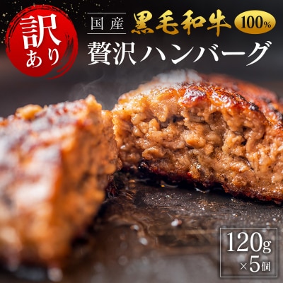 「訳あり」黒毛和牛専門店の国産黒毛和牛100%の贅沢ハンバーグ 5個