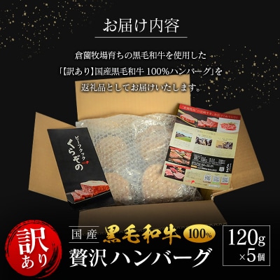 「訳あり」黒毛和牛専門店の国産黒毛和牛100%の贅沢ハンバーグ 5個