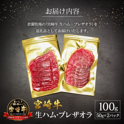 贅沢宮崎牛生ハム・ファーストクラス採用の宮崎牛 ブレザオラ 2P