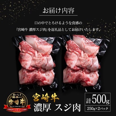 宮崎県産 倉薗牧場 宮崎牛 濃厚スジ肉 約500g