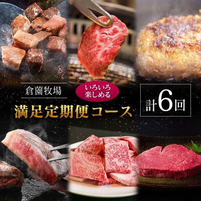【定期便】宮崎県 倉薗牧場 ヒレステーキなど色々楽しめる満足定期便コース 計6回