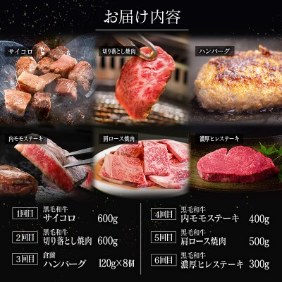 【定期便】宮崎県 倉薗牧場 ヒレステーキなど色々楽しめる満足定期便コース 計6回