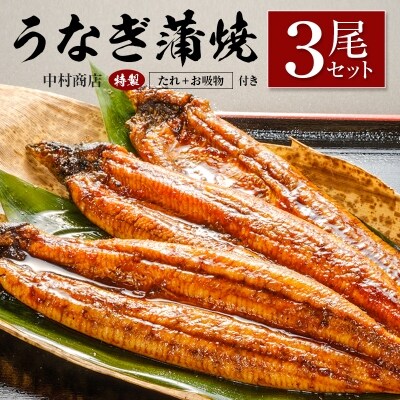 ◆中村商店 うなぎ蒲焼3尾セット 計543g以上