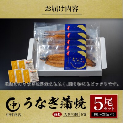 中村商店 うなぎ蒲焼5尾セット 計905g以上