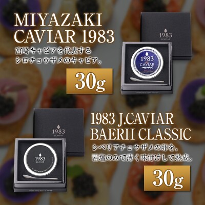 ◇宮崎キャビア1983 & 1983 J.CAVIAR 30g×4種食べ比べセット