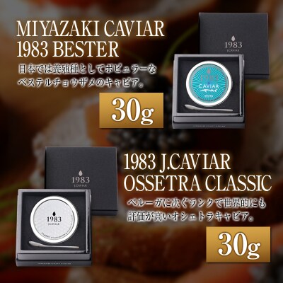 ◇宮崎キャビア1983 & 1983 J.CAVIAR 30g×4種食べ比べセット