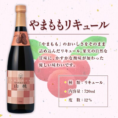南国宮崎県産 果実リキュール 飲み比べ3本セット
