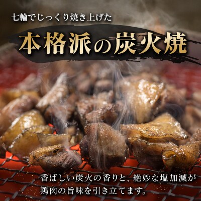 宮崎スティック 鶏の炭火焼 40本 地鶏 おつまみ