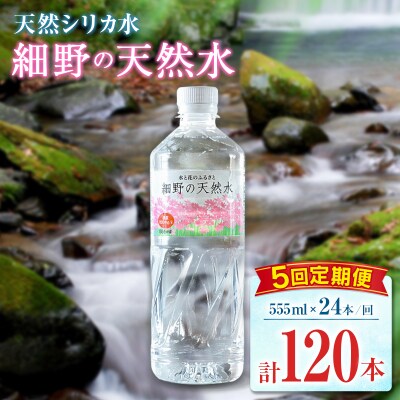 【定期便】 天然シリカ水 細野の天然水 555ml 24本 5回 中硬水 ミネラルウォーター シリカ