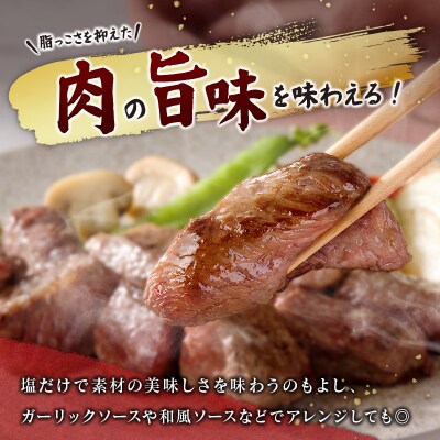 宮崎牛 ヒレ サイコロステーキ 300g 希少部位 宮崎県産 国産 黒毛和牛