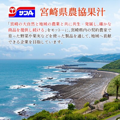 【定期便 3か月】 霧島山麓の天然水 590ml×24本入 3回 サンA ミネラルウォーター 飲料水
