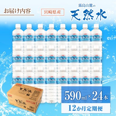 【定期便 12か月】 霧島山麓の天然水 590ml×24本入 12回 サンA ミネラルウォーター