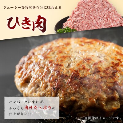 宮崎県産ポーク ひき肉 セット 計1.5kg(250g×6パック) 国産 豚肉 ミンチ 挽き肉 小分