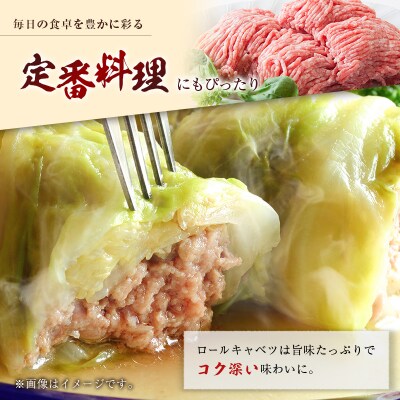 宮崎県産ポーク ひき肉 セット 計1.5kg(250g×6パック) 国産 豚肉 ミンチ 挽き肉 小分