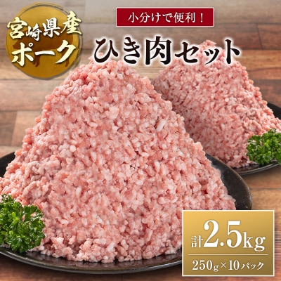 宮崎県産ポーク ひき肉 セット 計2.5kg(250g×10パック)国産 豚肉 ミンチ 挽き肉 