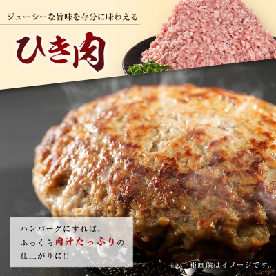 宮崎県産ポーク ひき肉 セット 計2.5kg(250g×10パック)国産 豚肉 ミンチ 挽き肉 