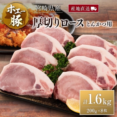 産地直送 宮崎県産 ひなた宮崎 ホエー豚 厚切りロース とんかつ用 計1.6kg(200g×8枚) 
