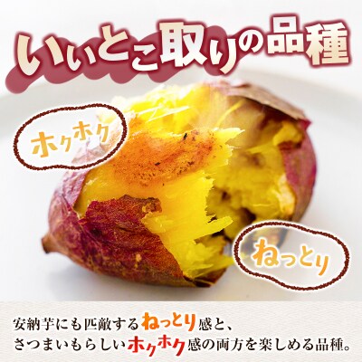 ＜定期便＞3回お届け!長期熟成 紅はるか 計15kg(5kg×3回)宮崎県都城市産 さつまいも