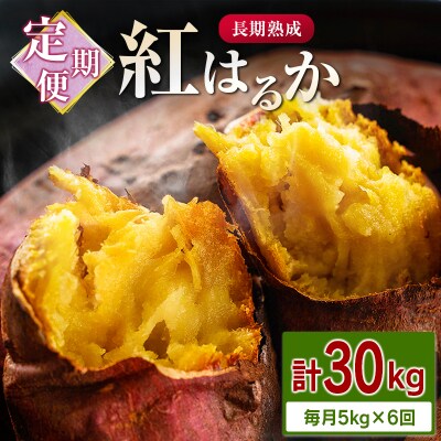＜定期便＞6回お届け!長期熟成 紅はるか 計30kg(5kg×6回)宮崎県都城市産 さつまいも サツ