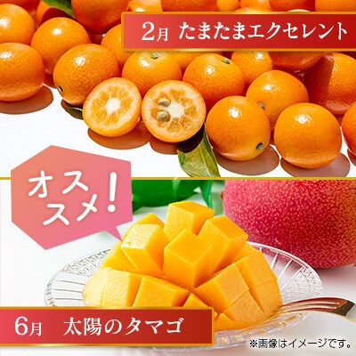 【奇数月6回定期便】南国宮崎産人気フルーツ詰め合わせ(B-1コース M210)
