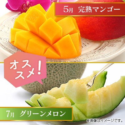 【奇数月6回定期便】南国宮崎産人気フルーツ詰め合わせ(C-1コース M310)