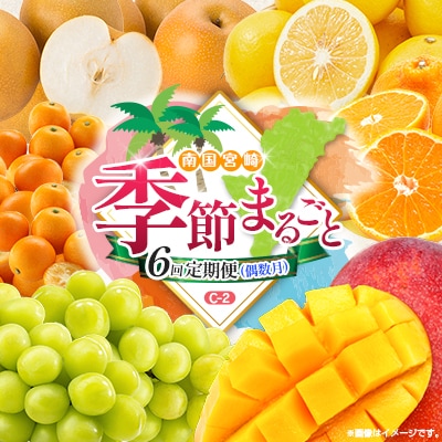 【偶数月6回定期便】南国宮崎産人気フルーツ詰め合わせ(C-2コース M320)