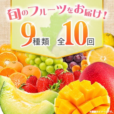 【10回定期便】南国宮崎産人気フルーツ詰め合わせ(E-3コース M700)