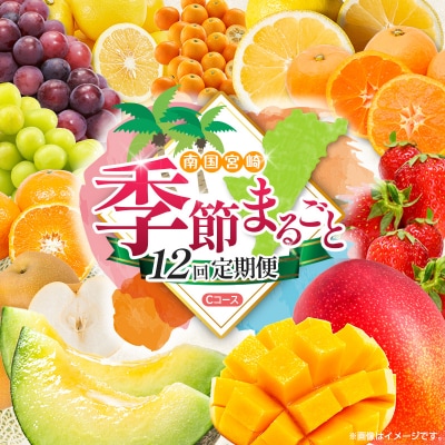 【12回定期便】南国宮崎産人気フルーツ詰め合わせ(Cコース M300)