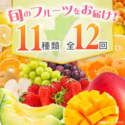 【12回定期便】南国宮崎産人気フルーツ詰め合わせ(Cコース M300)