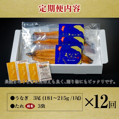＜定期便＞3尾×全12回 国産 うなぎ 蒲焼 有頭 計6.5kg以上(1回あたり 計543g以上) 