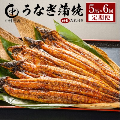 ＜定期便＞5尾×全6回 国産 うなぎ 蒲焼 有頭 計5.4kg以上(1回あたり 計905g以上) た