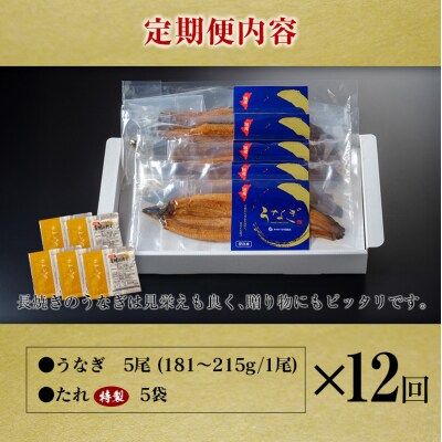 ＜定期便＞2尾×全3回 国産 うなぎ 白焼 有頭 計1kg以上(1回あたり 計362g以上) 肝焼き