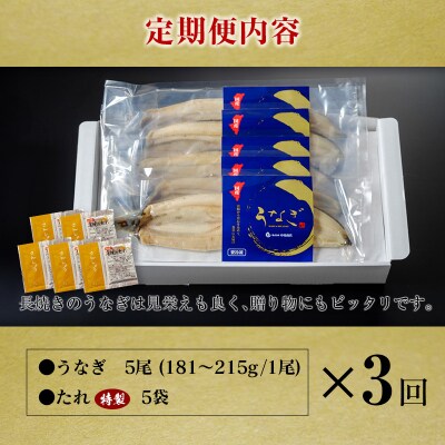 ＜定期便＞5尾×全3回 国産 うなぎ 白焼 有頭 計2.7kg以上(1回あたり 計905g以上) た