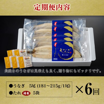 ＜定期便＞5尾×全6回 国産 うなぎ 白焼 有頭 計5.4kg以上(1回あたり 計905g以上) た