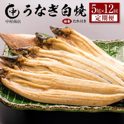 ＜定期便＞5尾×全12回 国産 うなぎ 白焼 有頭 計10.8kg以上(1回あたり 計905g以上)