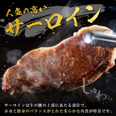 産地直送 なかにしプレミアム和牛 サーロインステーキ 計540g(180g×3枚)A4等級以上