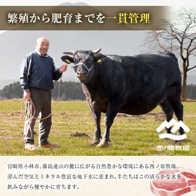 産地直送 なかにしプレミアム和牛 ロース 薄切りステーキ 計約580g 4枚 A4等級以上