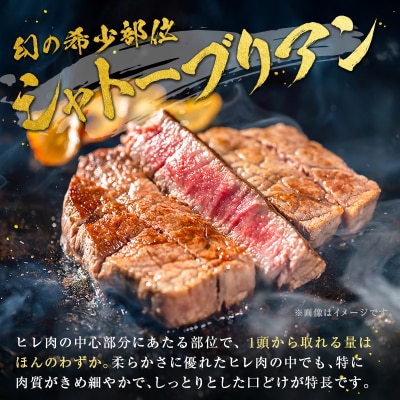 産地直送 なかにしプレミアム和牛 シャトーブリアン 計400g(200g×2枚)A4等級以上