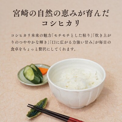 令和8年産【特別栽培米】減農薬 コシヒカリ 宮崎県産 5kg 精米 お米 白米 こしひかり 井野農園