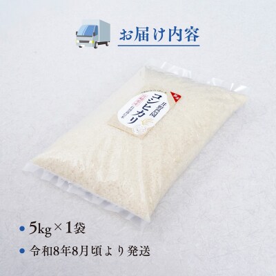 令和8年産【特別栽培米】減農薬 コシヒカリ 宮崎県産 5kg 精米 お米 白米 こしひかり 井野農園